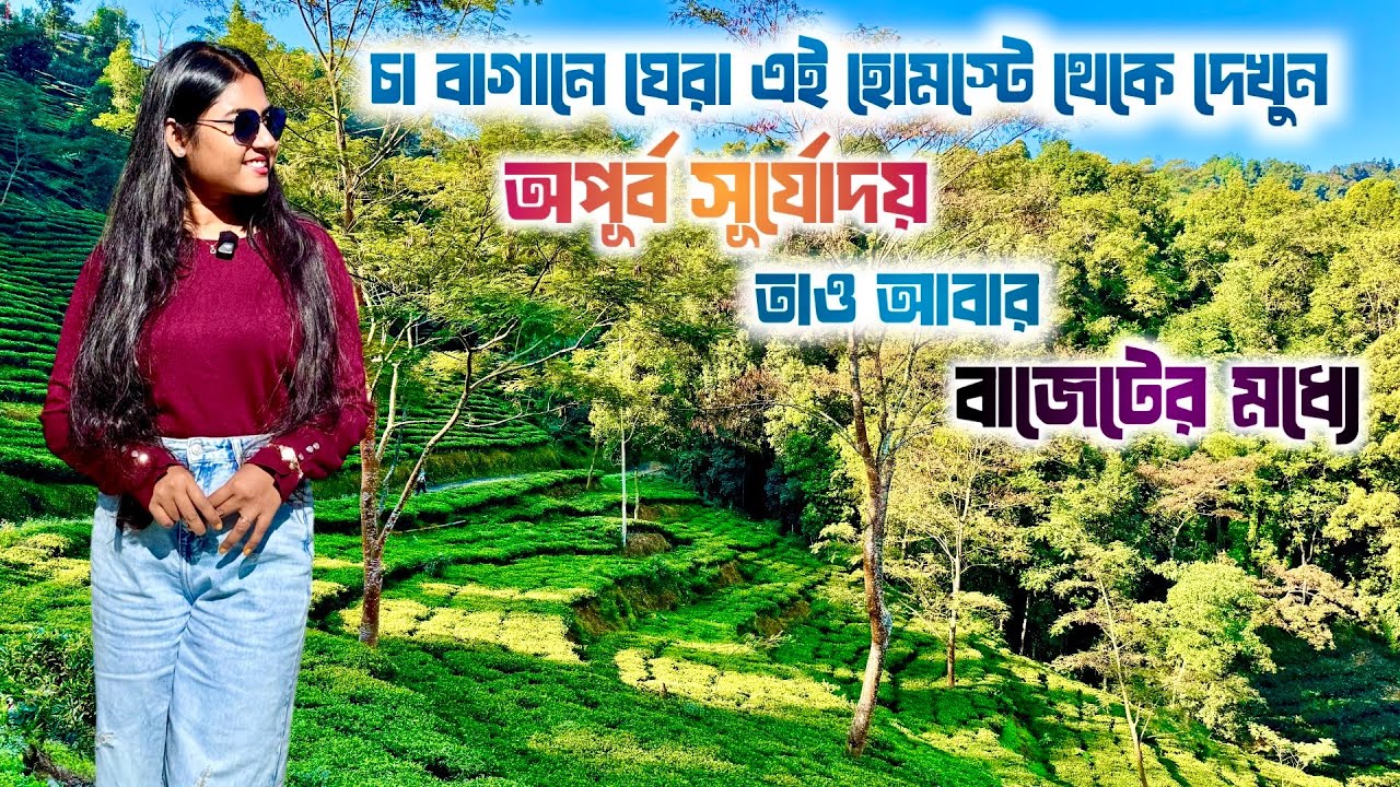 Rongli Tea Retreat | অসাধারণ সূর্যোদয়ের সাথে চা বাগান | Offbeat Darjeeling | Rongli Rongliot | 