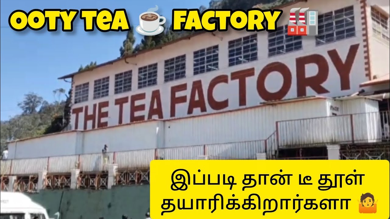 ஊட்டி டீ தூள் இப்படி தான் தயாரிக்கிறார்களா 😱🤷| Ooty tea factory 🏭| Full process of tea factory #ooty