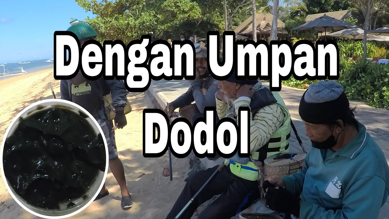 mancing Beby baronang dengan umpan dodol
