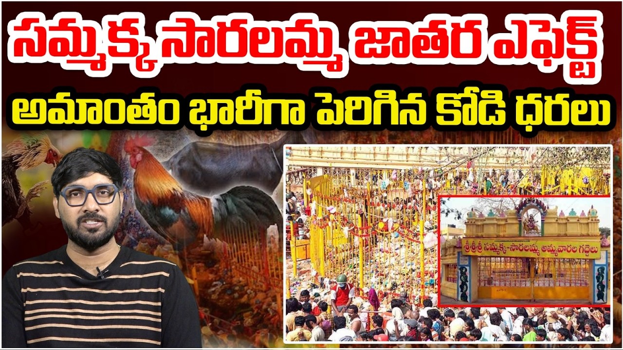 సమ్మక్క సారలమ్మ జాతర ఎఫెక్ట్ | Eduru Kollu Sammakka Saralamma Jathara | Telangana | Cammando TV