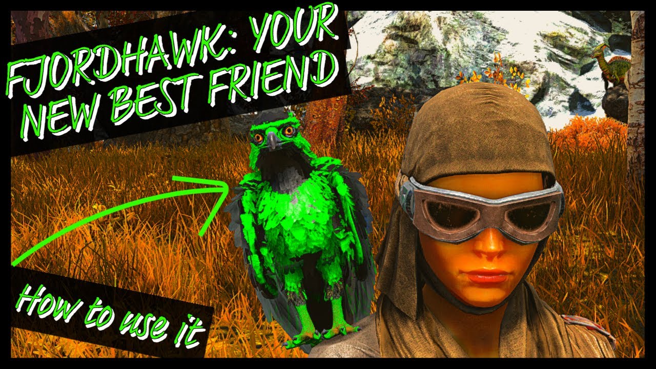 HOW TO USE THE FJORDHAWK!!! YOUR O.P NEW BEST FRIEND!
