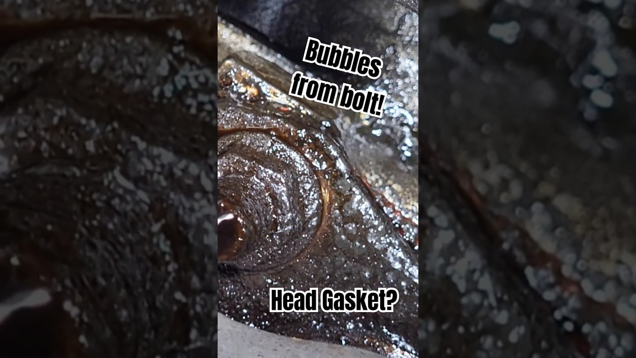 Doomed Subaru Engine? Head Gasket Failing? 