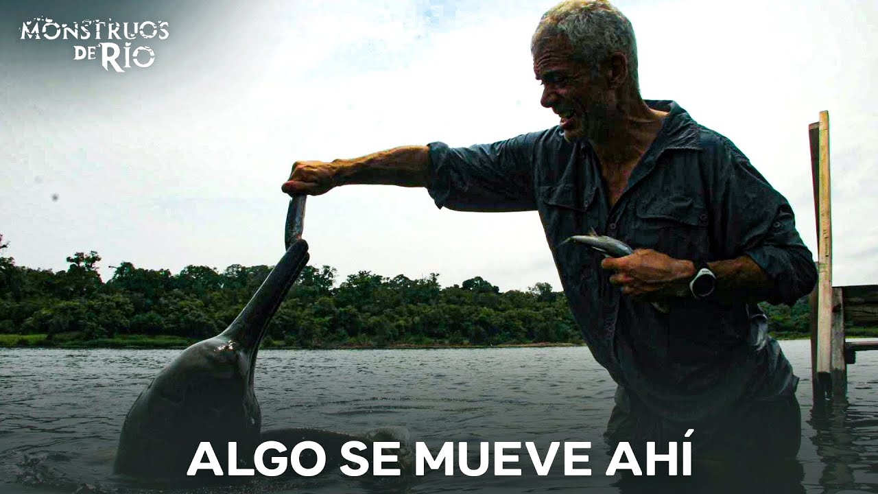Peces Gigantes Que Parecen Irreales | T3 | Monstruos de R&iacute;o