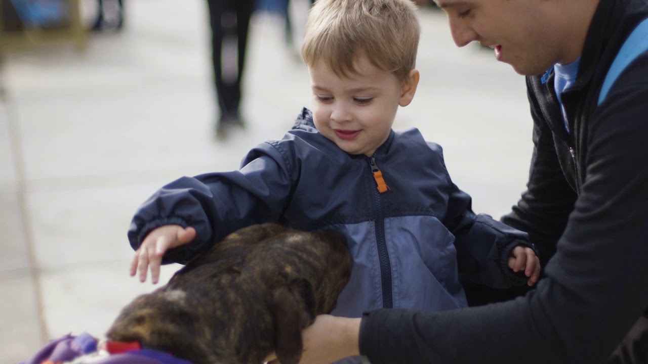 Fun things to do in Wichita with your family in the spring