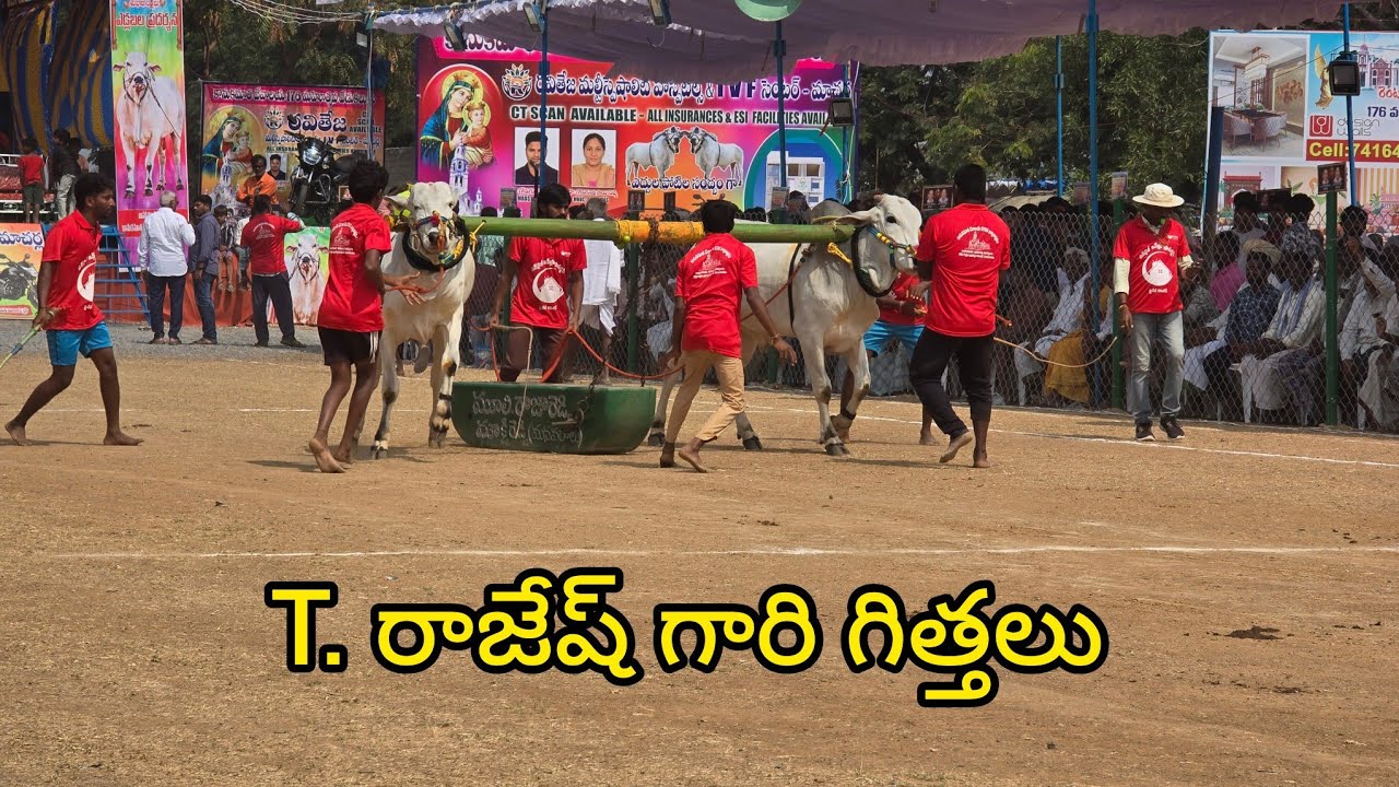 రెంటచింతల పాల పళ్ళ 2.జత.టోపీ రాజేష్ గారు. లింగాల గ్రామం పాములపాడు మండలం నంద్యాల జిల్లా