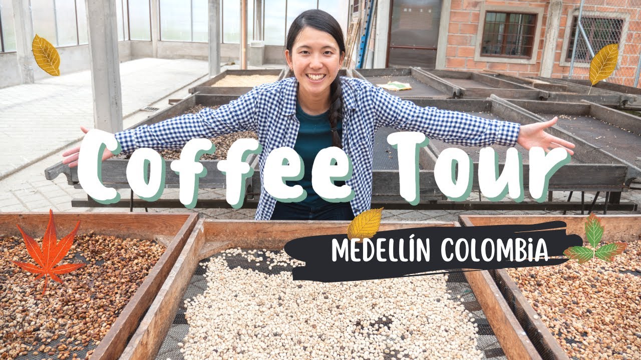 A Coffee farm in the middle of Medellin Colombia