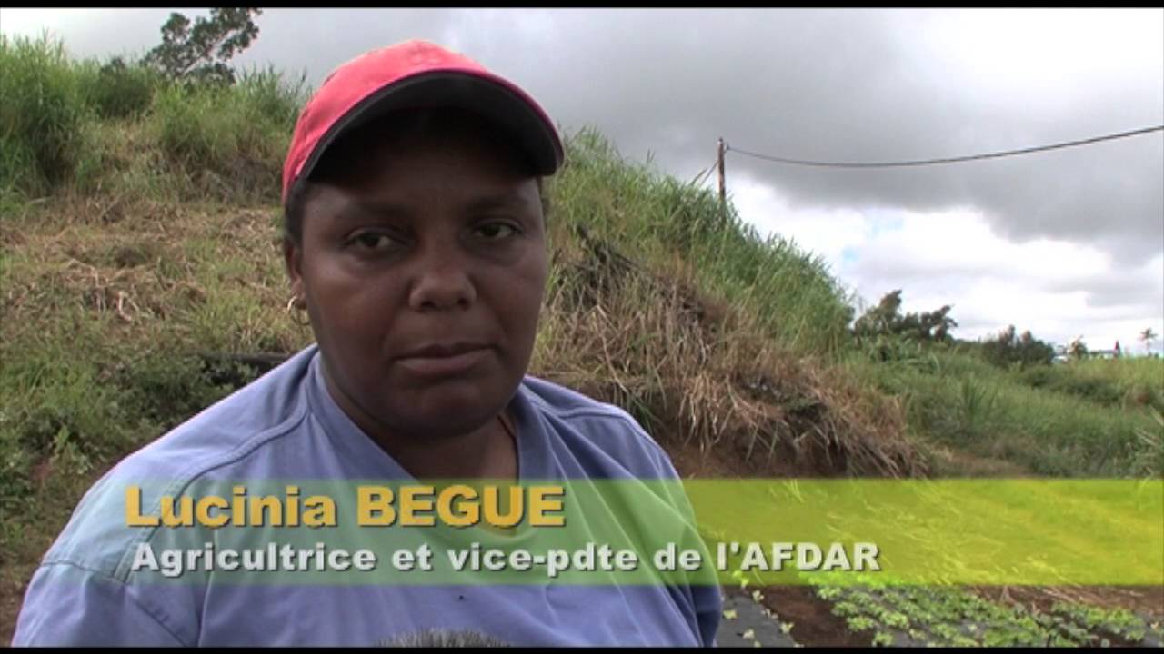 Terre d'Ici - Association femme agricultrice