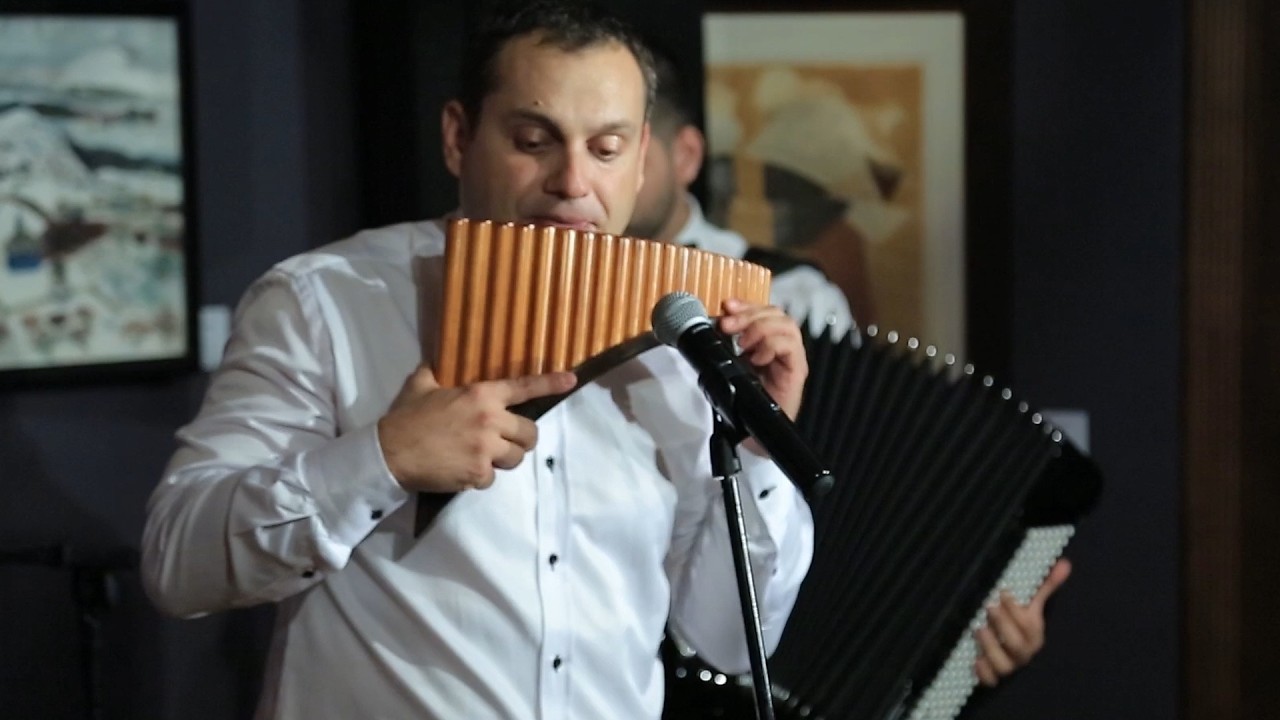 Sarba Batraneasca - Flavius Tinica (Pan Flute)