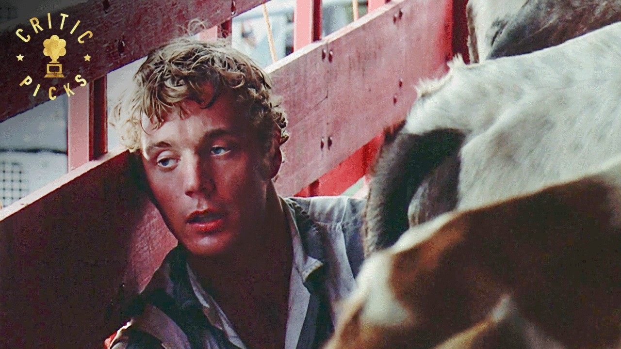 Eddie Macon Escapes Prison During the Rodeo | Eddie Macon’s Run
