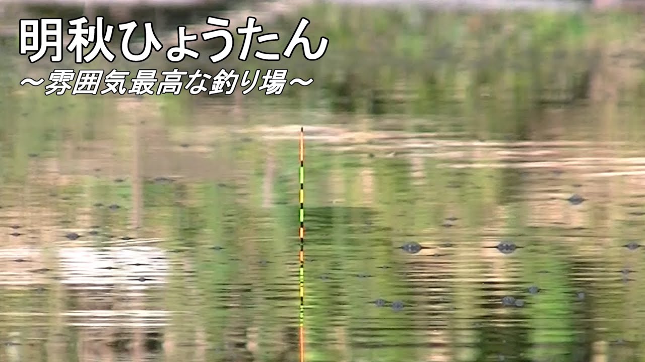 【明秋ひょうたん】雰囲気最高な野釣り場です。埼玉県。へらぶな釣り。2020.9.5