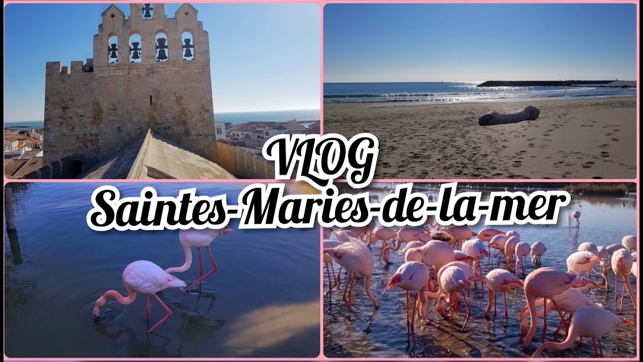 Les Saintes-Maries-de-la-Mer, vlog camargue !