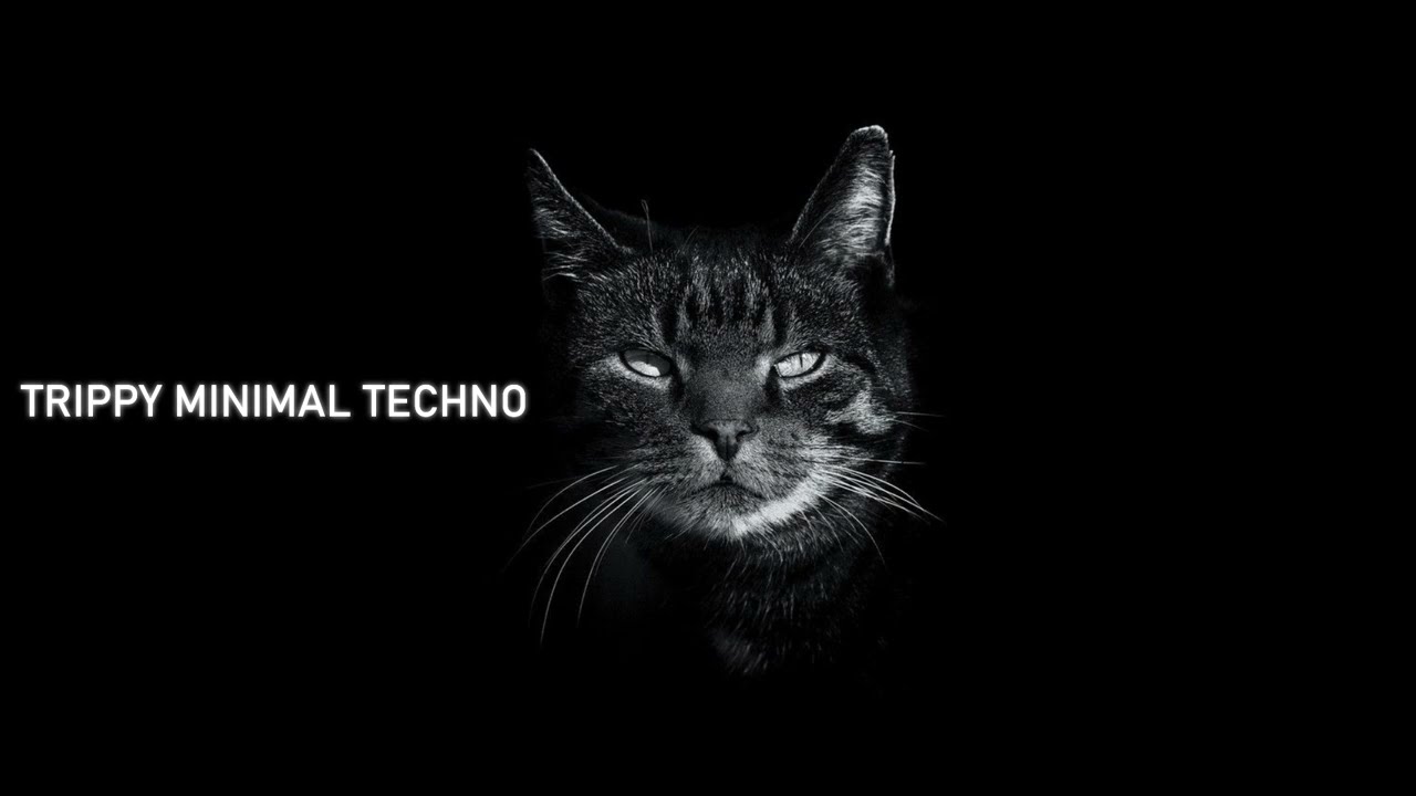 Banger Minimal Techno 2021 Summer Party Mix [TRIPPY CAT]