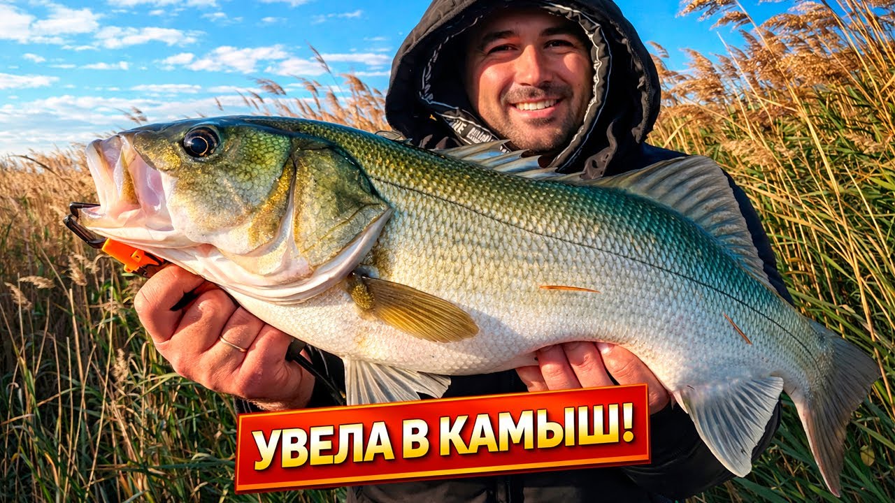Решение, которое изменило ход этой рыбалки на СИБАСА (ЛАВРАКА)