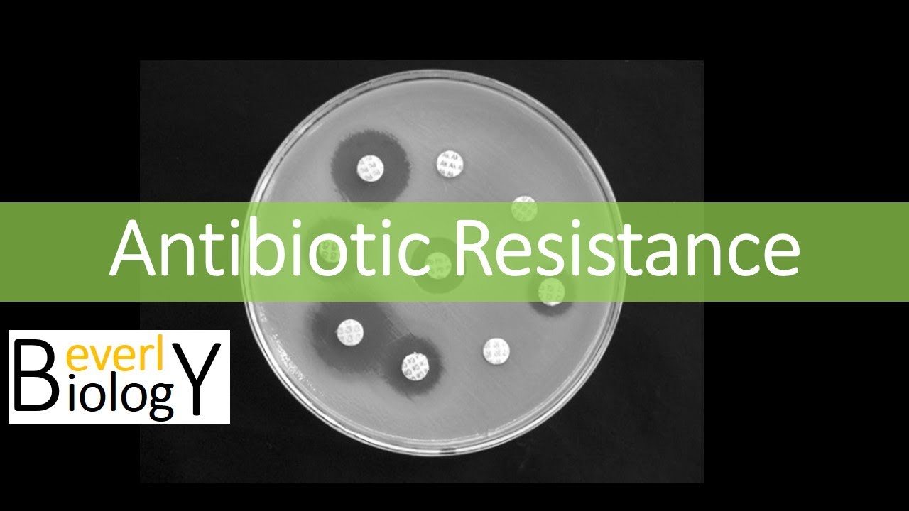 Antibiotic Resistance