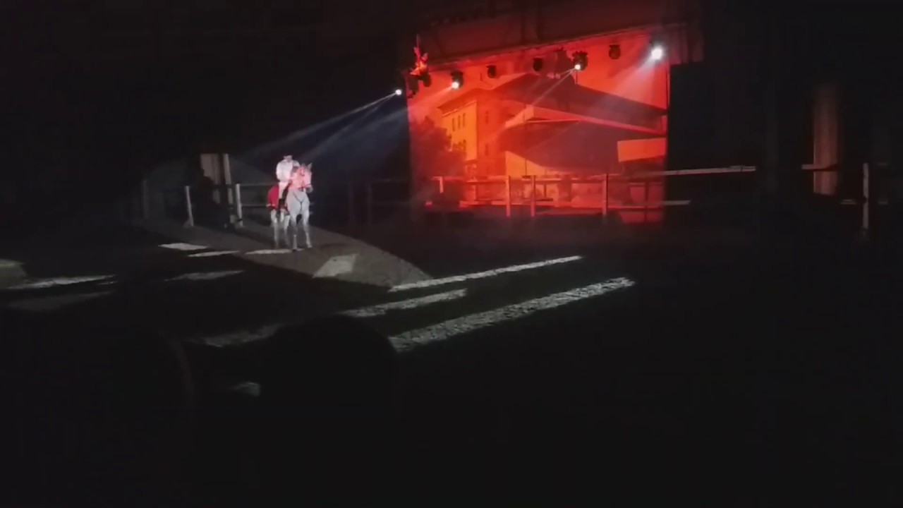 KINCSEM  -  Nemzeti Lovas Színház előadása / Musical