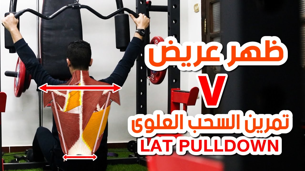 تمرين السحب العلوى - lat pulldown | تمرين فى السليم