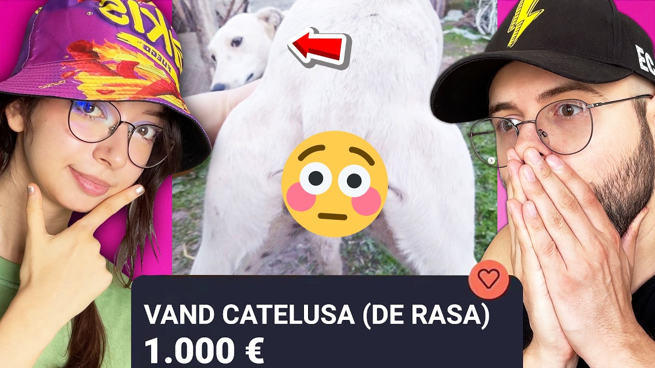 Ce lucruri CIUDATE vand romanii pe OLX... cu Karina