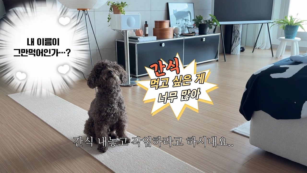 병원 다녀온 강아지 : 강아지 지방종 발견과 목디스크가 같이 일어날 확률은?