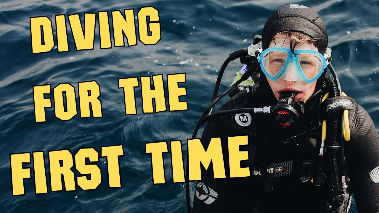 Unveiling The Best Scuba Destinations For Beginners