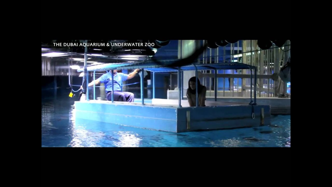 The Dubai Aquarium & Underwater Zoo