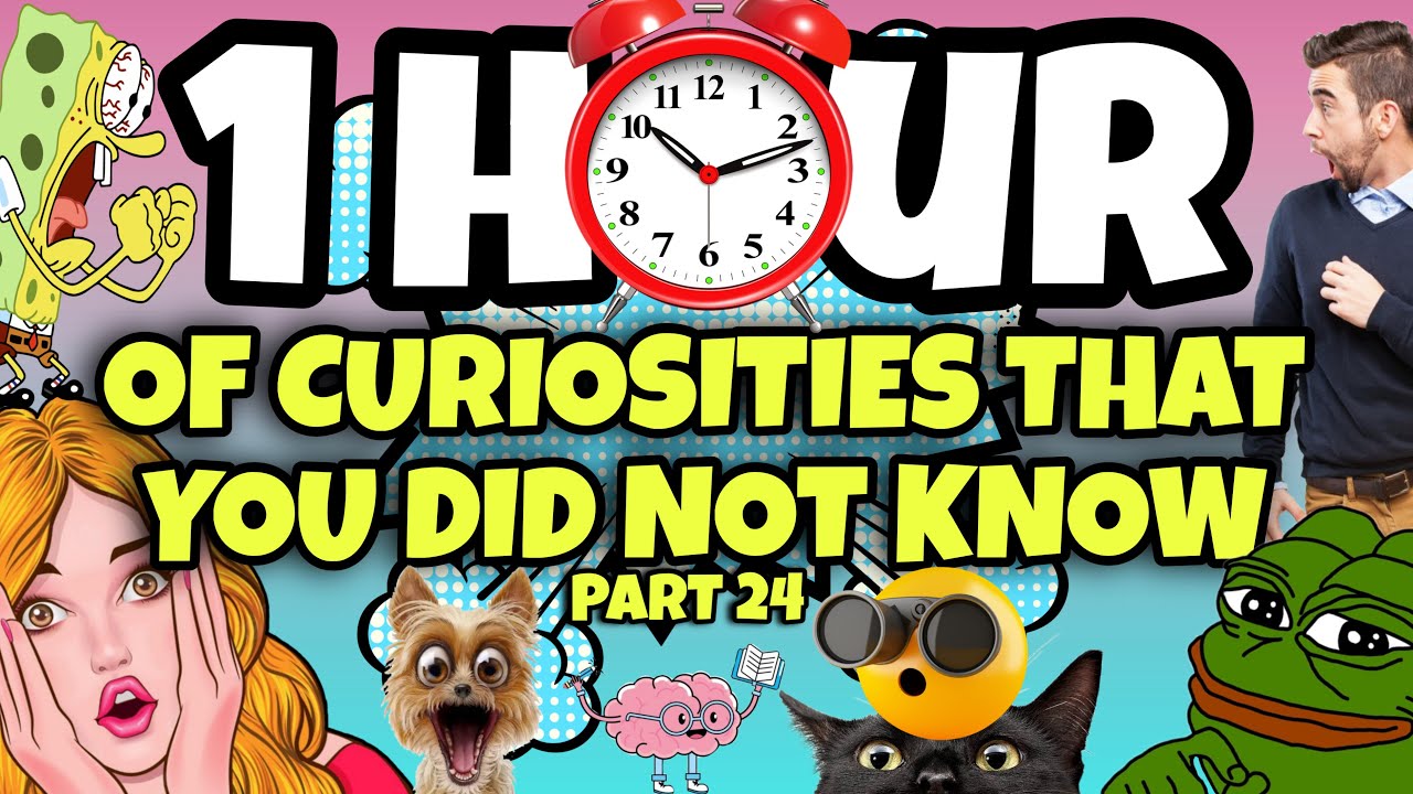 1 HOUR OF CURIOSITIES AND THINGS YOU DIDN'T KNOW 🧠⏰ #24