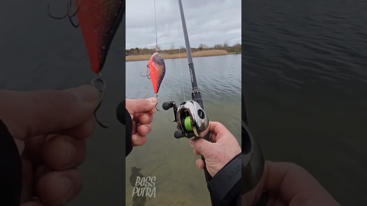 Love this sound😍Shimano Antares DC x Shimano Poison Andrena