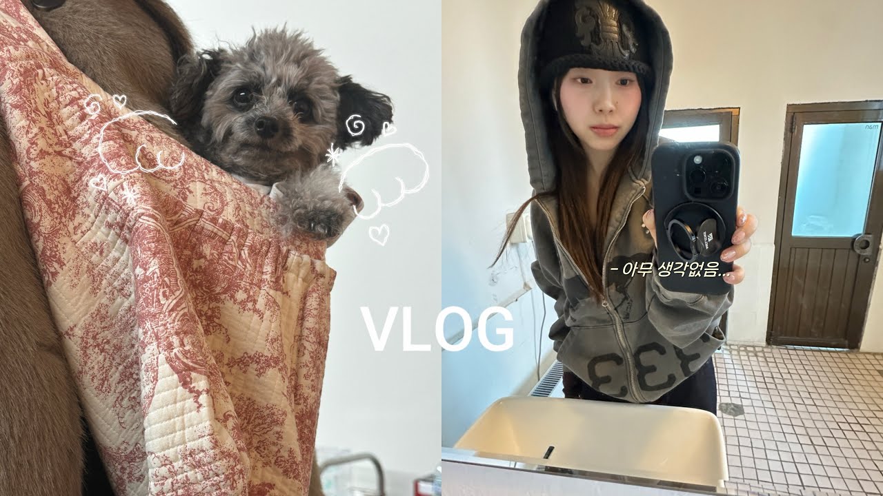 VLOG Jukjjidoanko, Back Alive, Vlog | 🧟🧟‍♂️