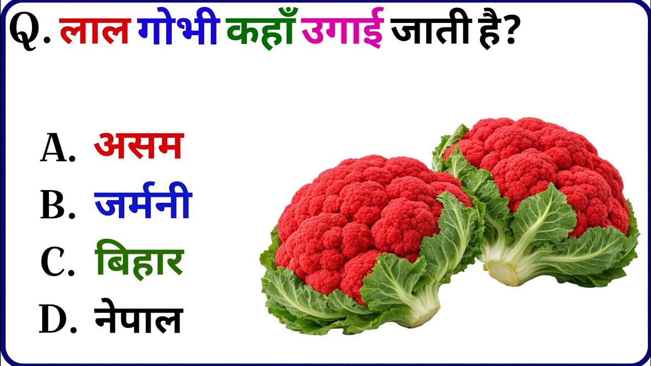 Gk Question || Gk in Hindi || GK challenge || Question and Answers # Swabhagi Aanchal GK STUDY 