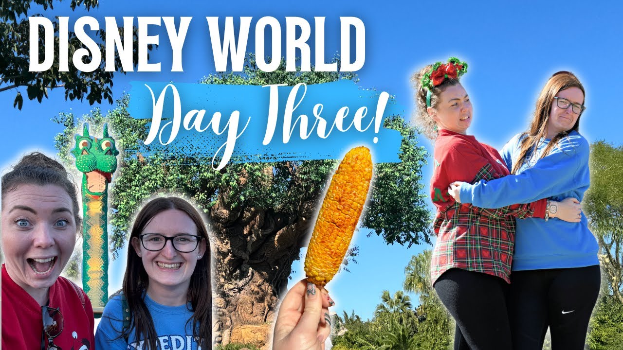 Видеоблог Walt Disney World | День третий | Animal Kingdom, Disney Springs, прогулка у рождествен...