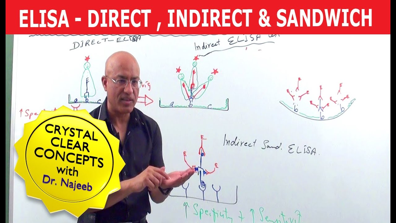 Elisa Test | Direct Indirect & Sandwich 🩸