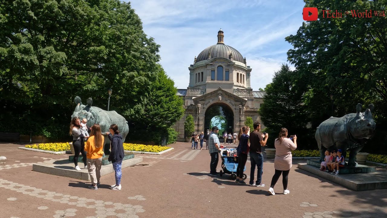 Bronx Walk NYC - Exploring in the Bronx Zoo, May 2022