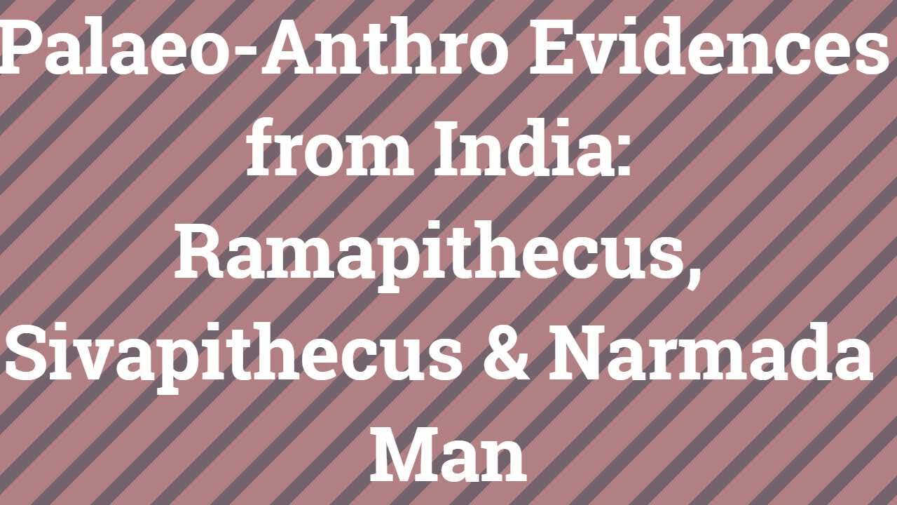 Ramapithecus | Sivapithecus | Narmada Man |  Anthropology UPSC | Archeological Anthropology