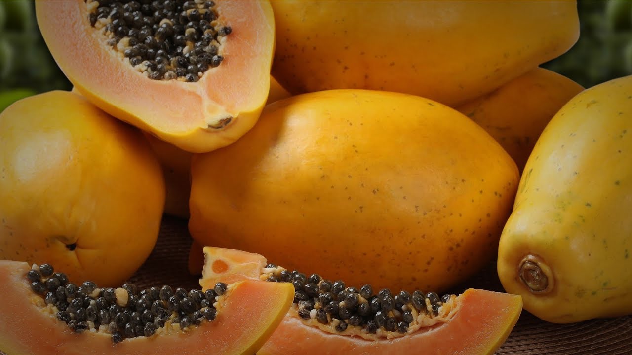 Producción y Exportación de Papaya Maradol Cap 118
