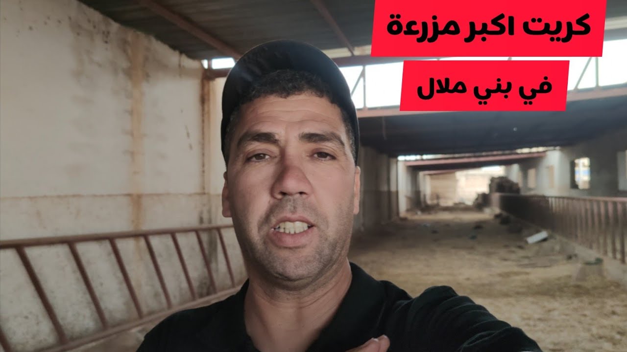 كريت اكبر كوري المواشي في بني ملال