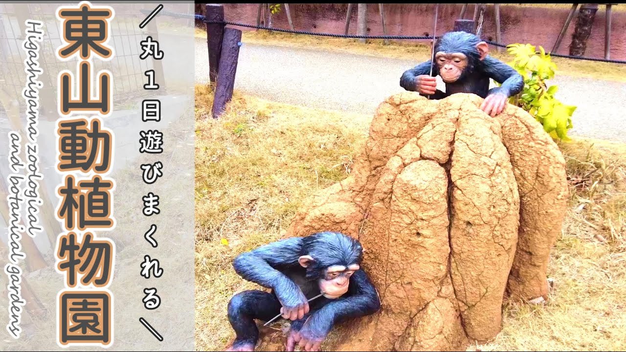 #94 【紹介】東山動植物園 in Nagoya