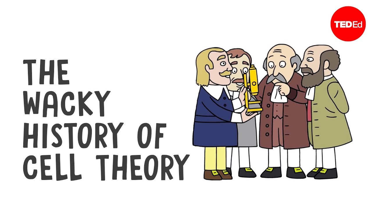 Необычная история клеточной теории