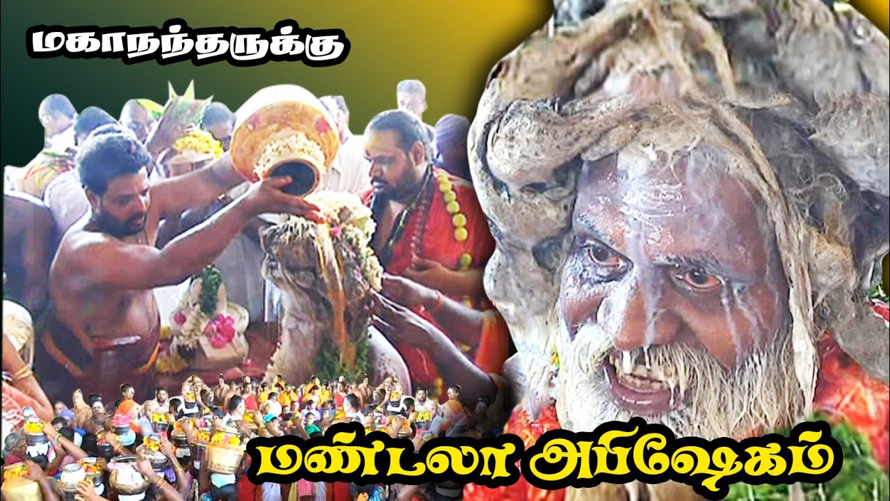 மகாநந்தருக்கு மண்டலா அபிஷேகம் I மகாதேவமலை மகாநந்த சித்தர்