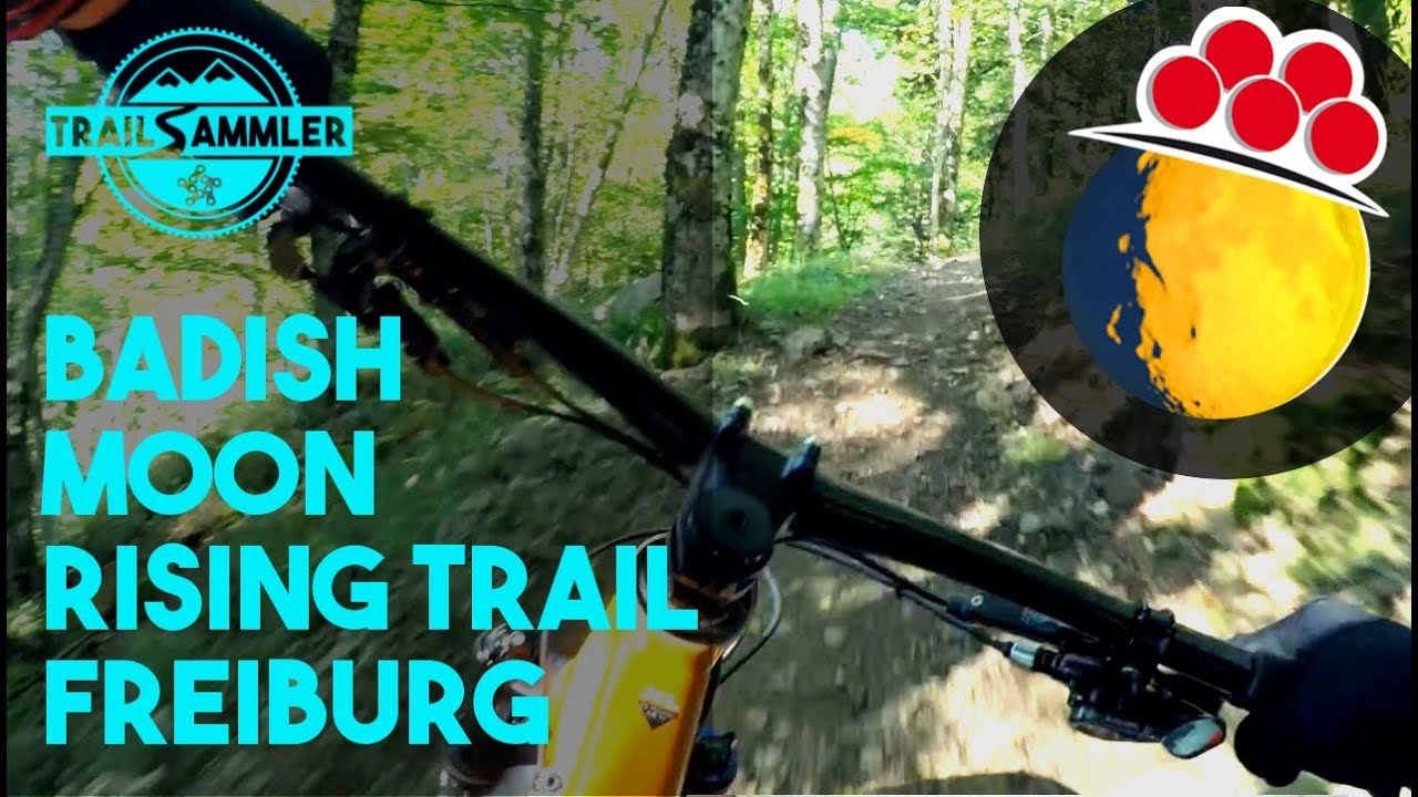 Badish Moon Rising Trail Freiburg 🌔| Flowcountry à la carte Traildoku (eng subs)