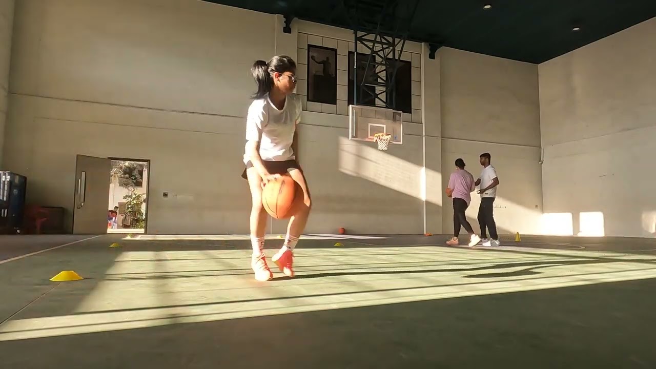 SIS - Drill - Ball Handling 1