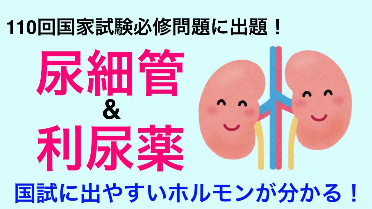 尿細管とアルドステロン・バソプレシンについて解説！
