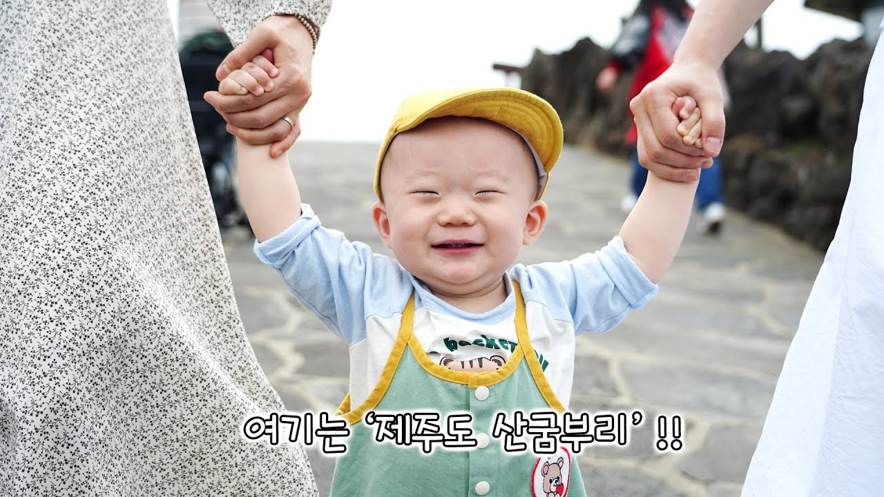 제주도에는 카페에도 말이랑 알파카가 있다고요?😲😳 (생후 12개월 / 제주 여행 3편)