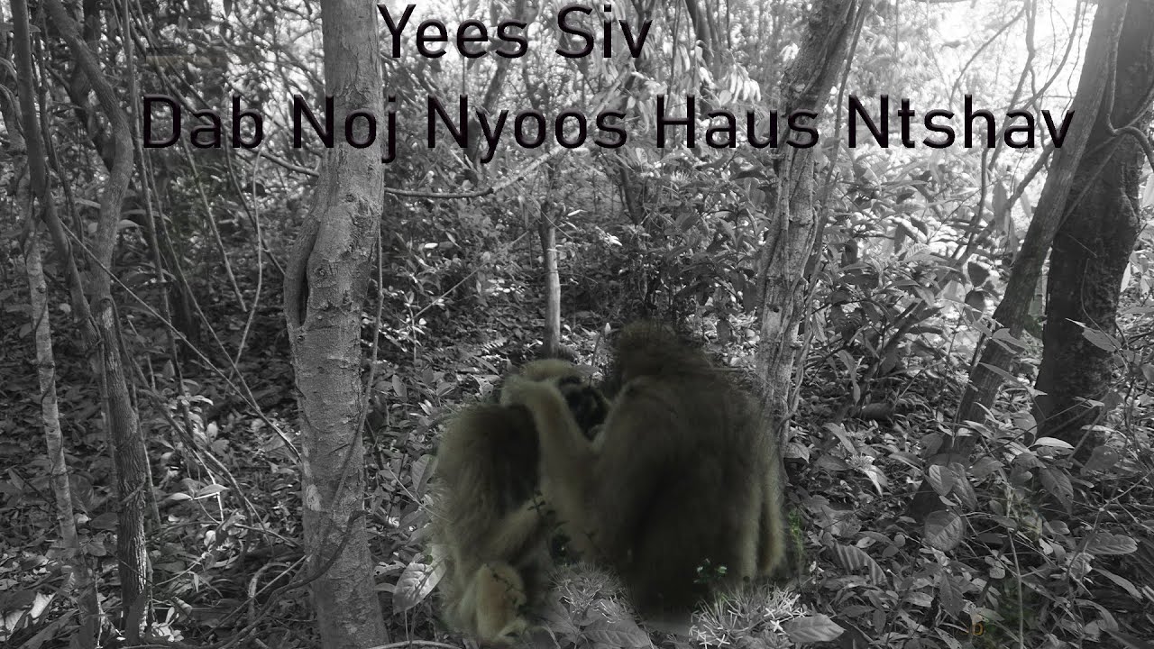 July 22, 2024 Sab Sij Huam Kev Tswm Sim Neeg Txawj Dab Yees Siv