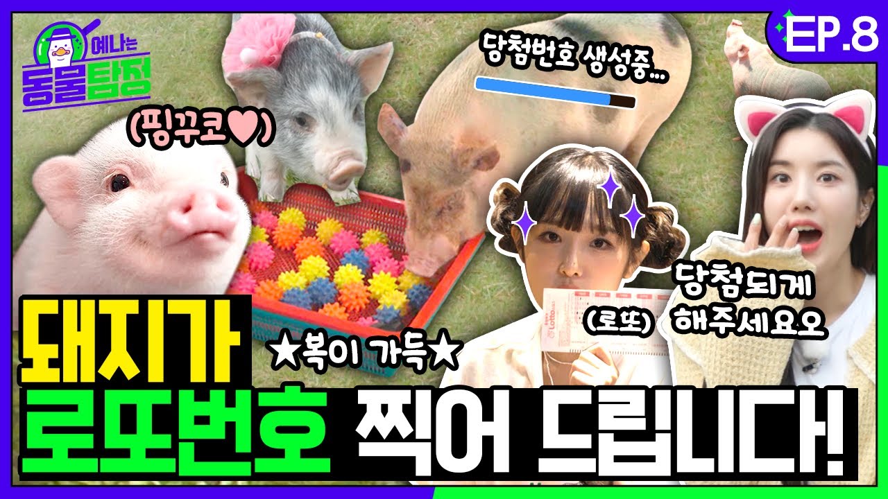 [SUB] 돼지🐷가 뽑아준 복권은 당첨이 될까? 이번 주 💸로또 당첨💸!? 동물탐정 예나와 은비가 확인해봤습니다🧐ㅣ예나는동물탐정 EP.08
