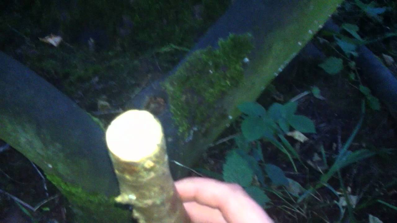 Very difficult geocache, bet nobody finds this!