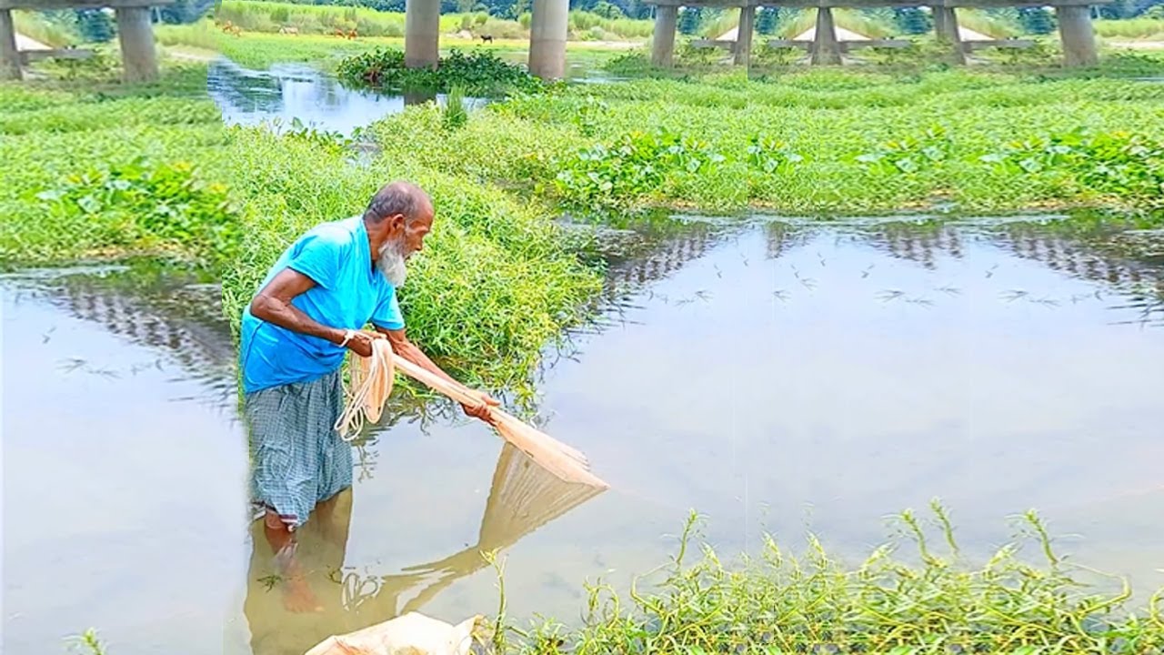 Village River Fishing Video - Amazing Net Fishing Video - Unique Fishing Video