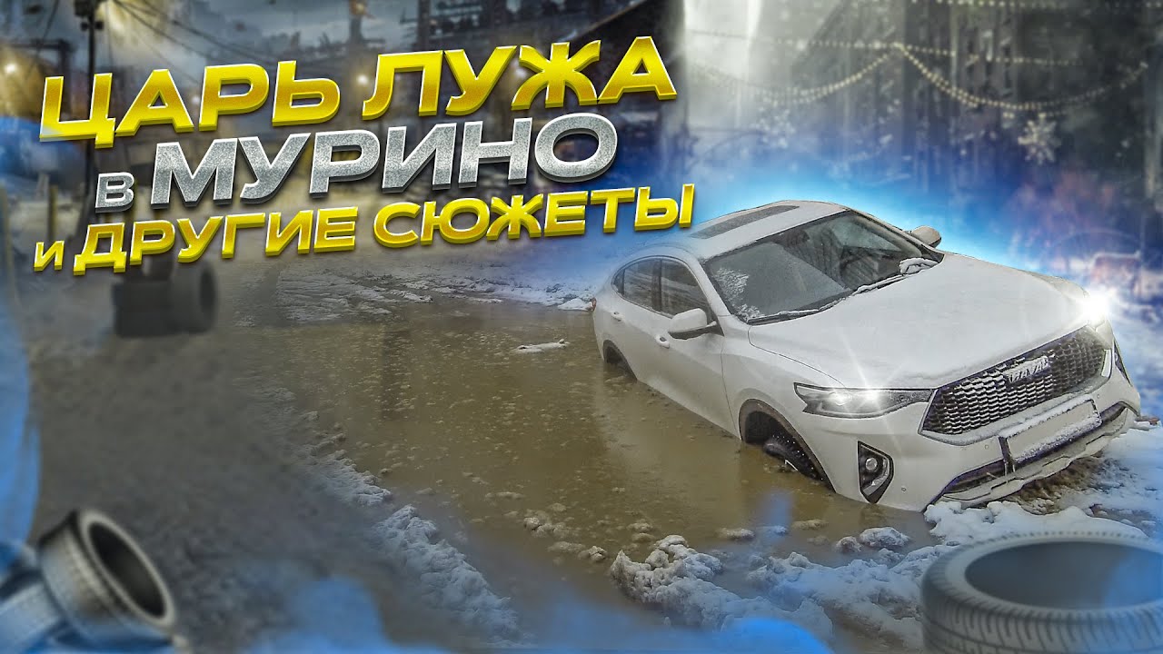"Царь лужа" в Мурино и другие сюжеты | The Great Puddle of Murino and Other Stories