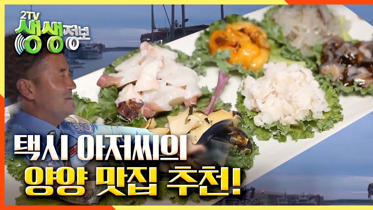 택시 아저씨의 양양 맛집 추천!