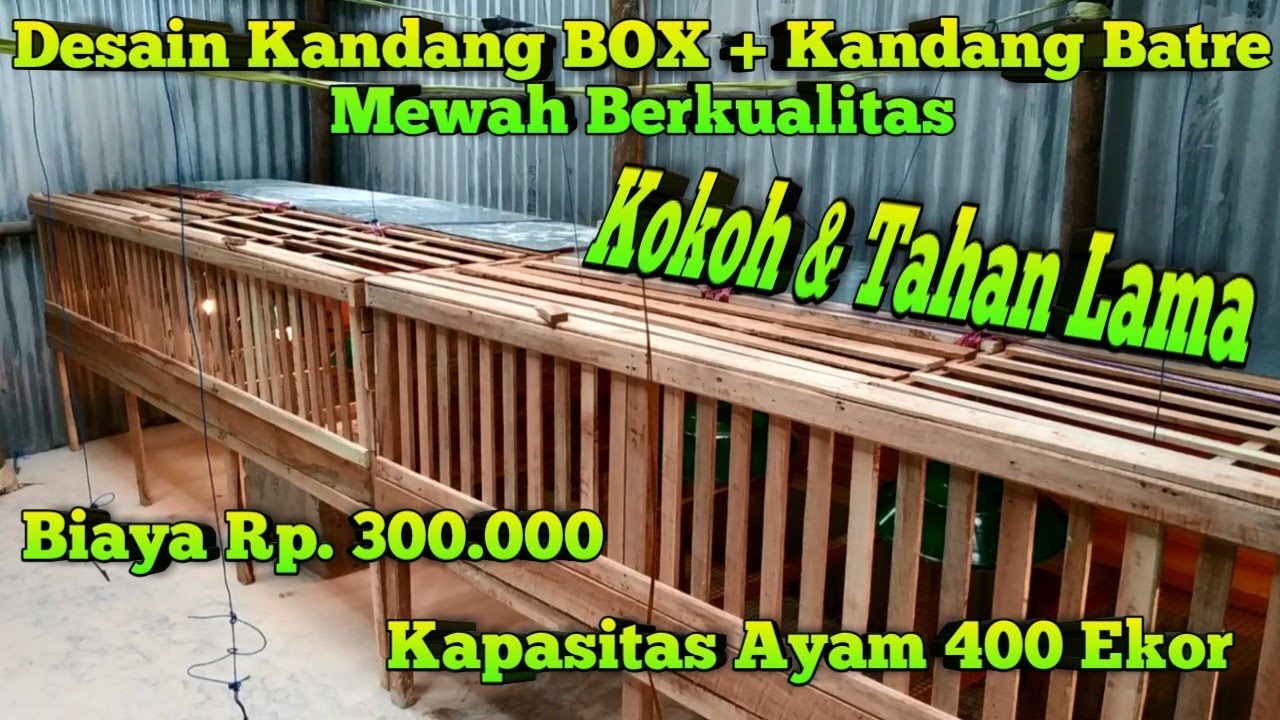 Contoh Desain Kandang BOX DOC + Kandang Batre Mewah dgn Biaya Murah & Terjangkau