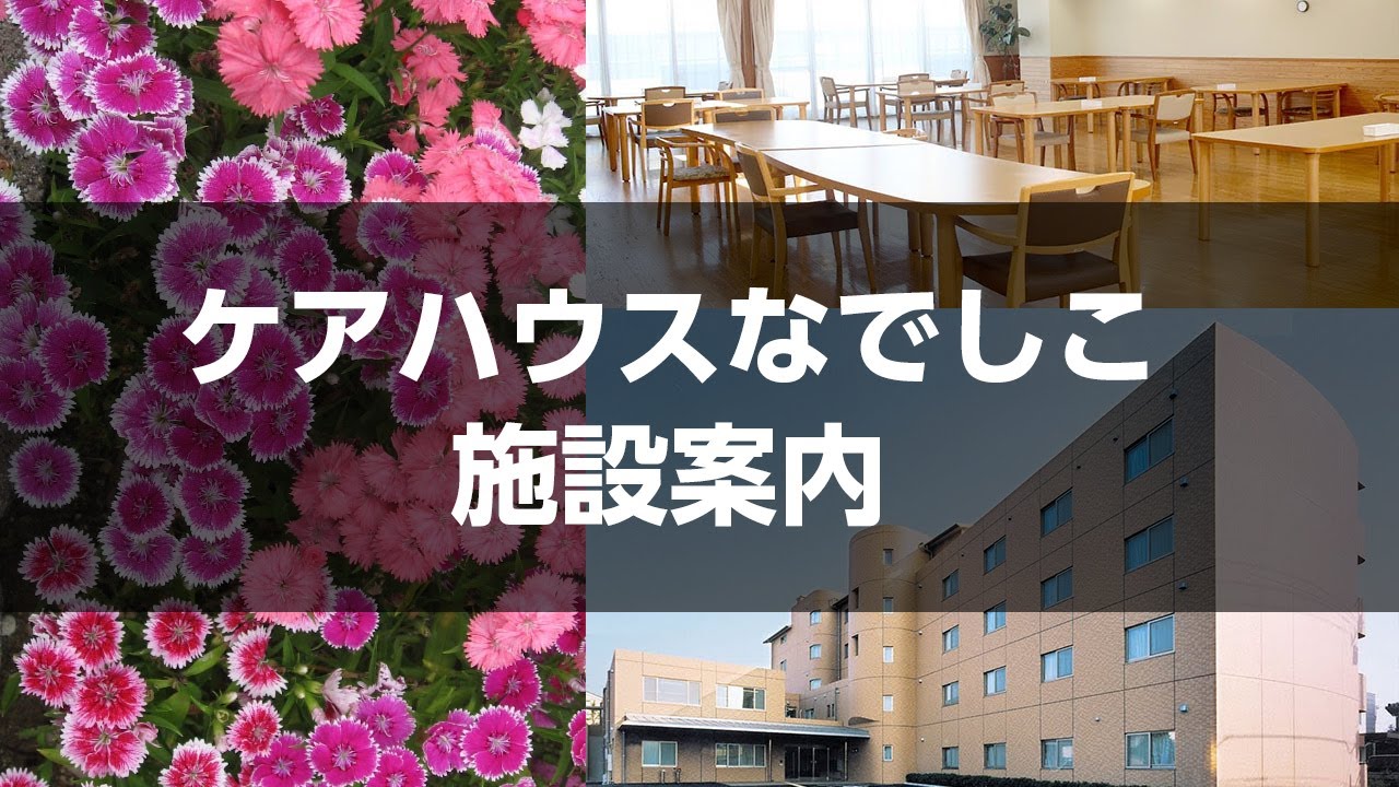 馬橋ケアハウスなでしこ 施設案内【社会福祉法人馬橋福祉会】