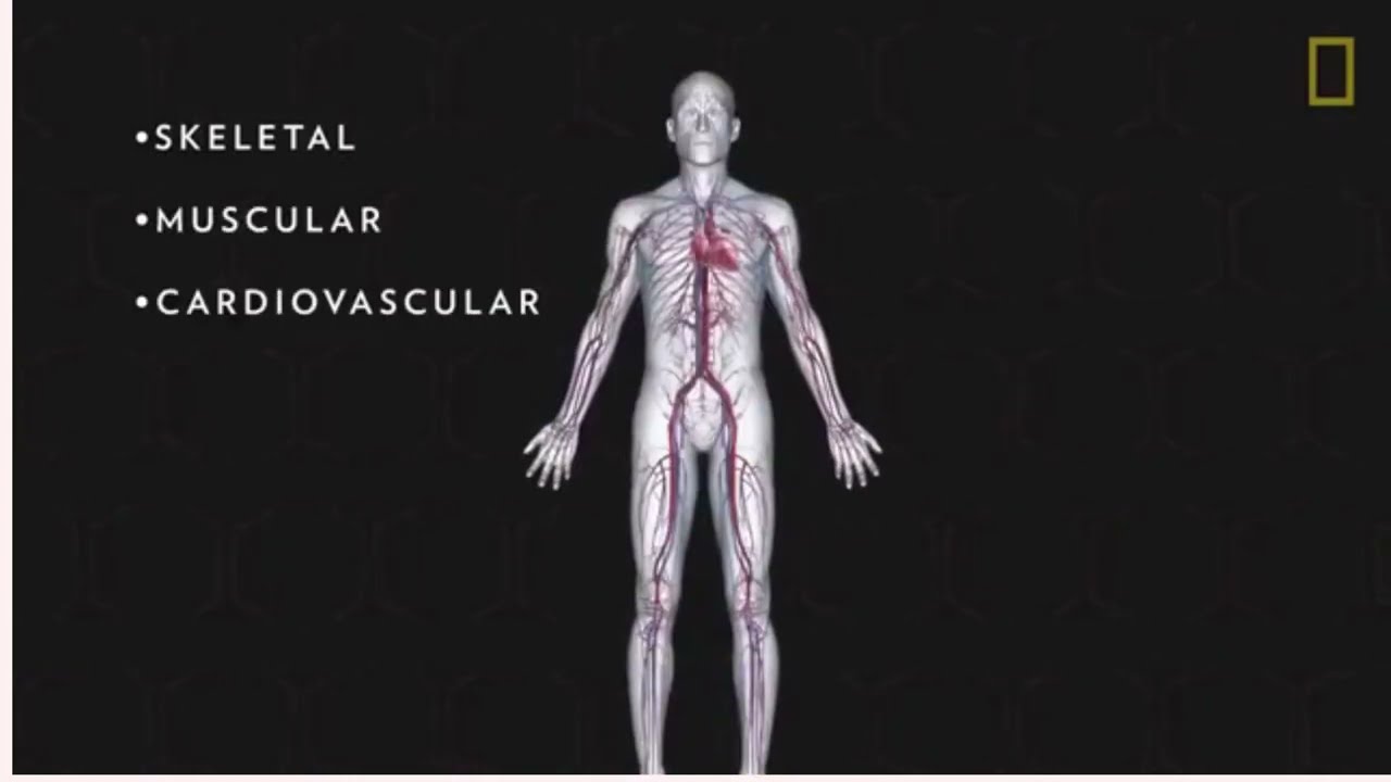 Get Smarter With Our Medical Lectures!